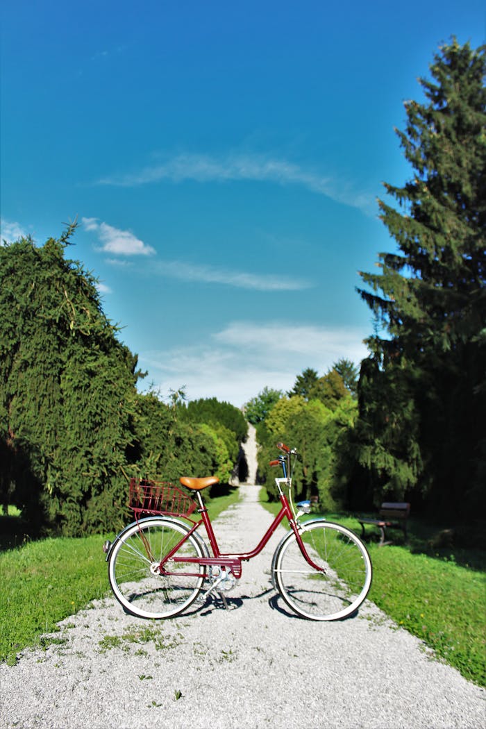 Red Cruiser Bike